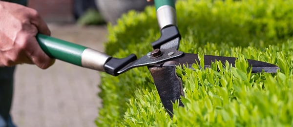 Gartenpflege